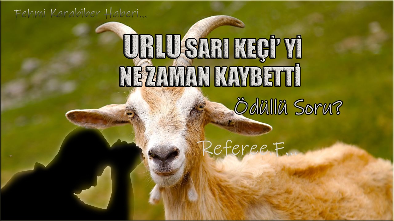 Resim